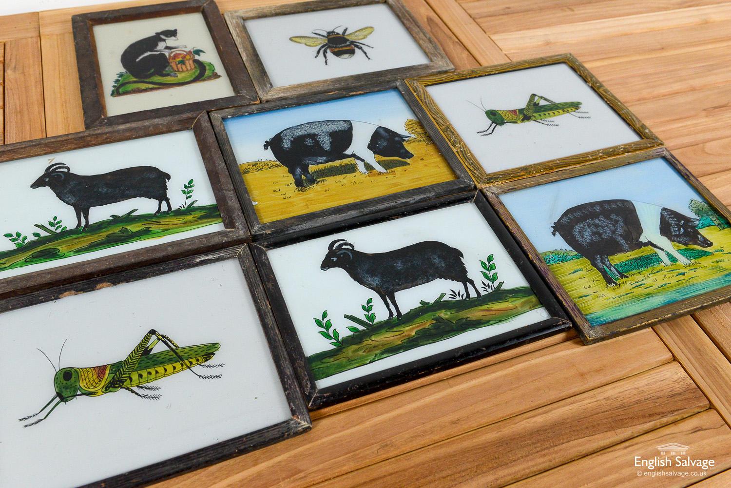 Framed paintings on glass of animals reclaimed from India. Rough size of the landscape orientated paintings below, the portrait painting is 21.5 cm wide x 28.5 cm high. Some scuffing to wooden frames, otherwise they are in good condition.