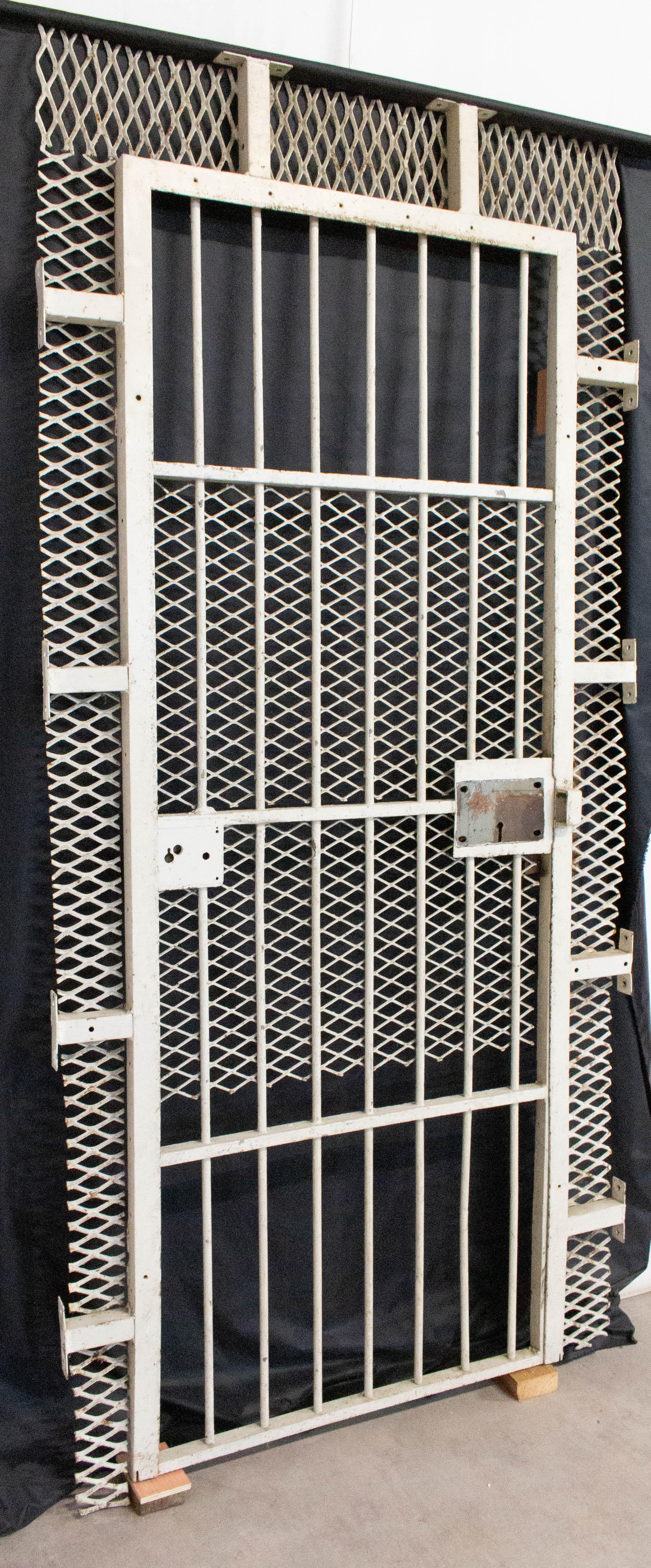 iron net door design