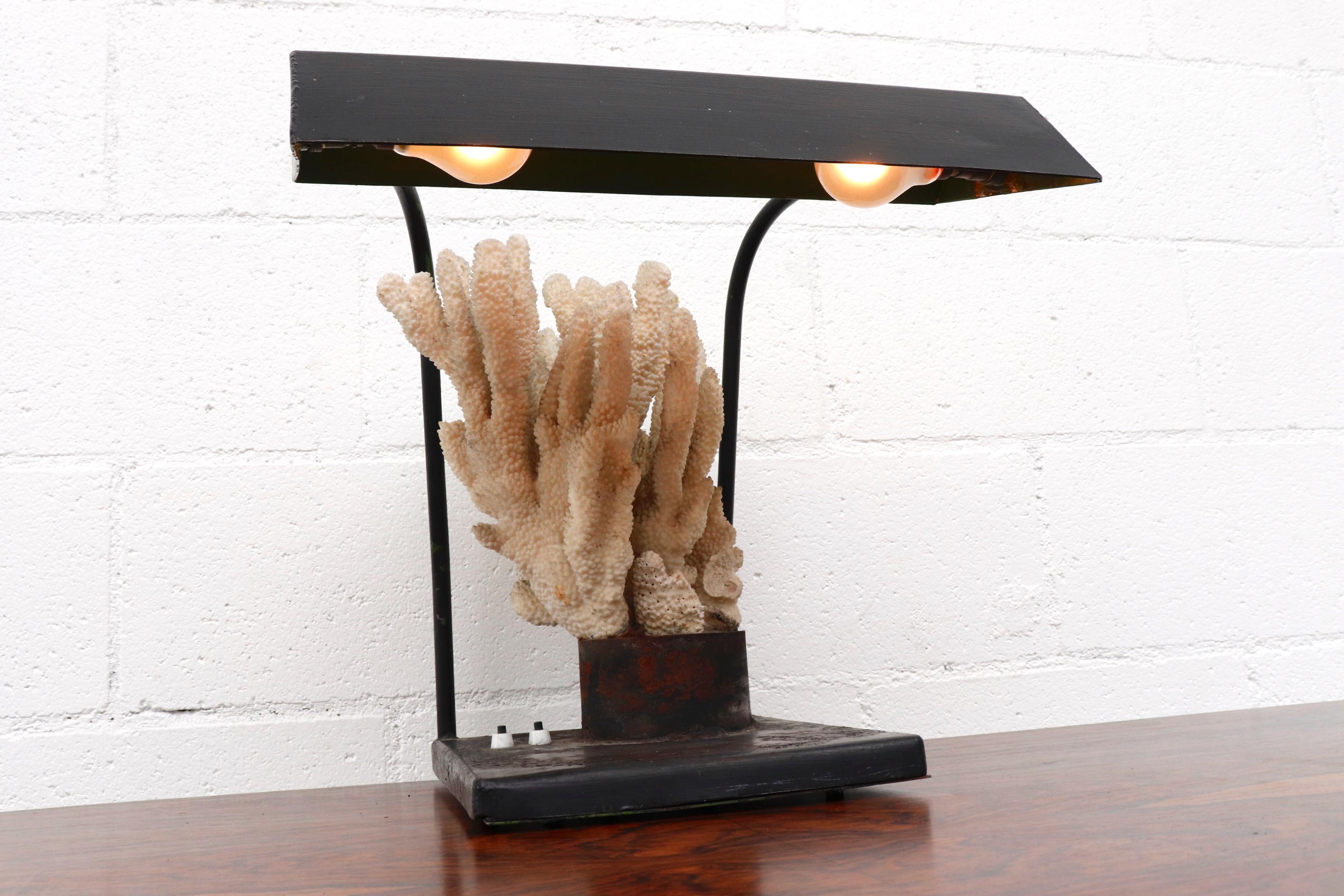 Dutch Vintage Industrial Table Lamp with Coral Specimen