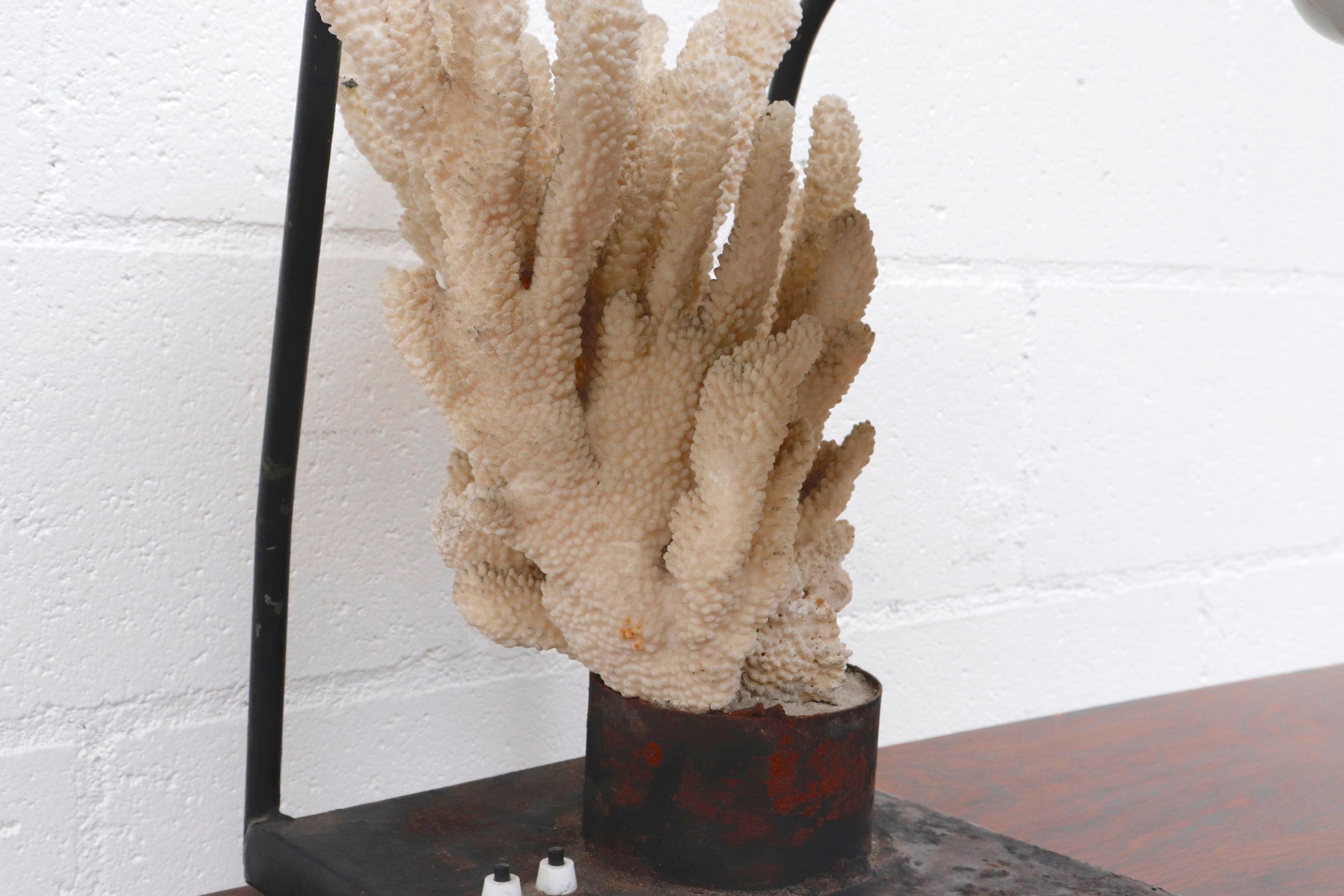 Mid-20th Century Vintage Industrial Table Lamp with Coral Specimen