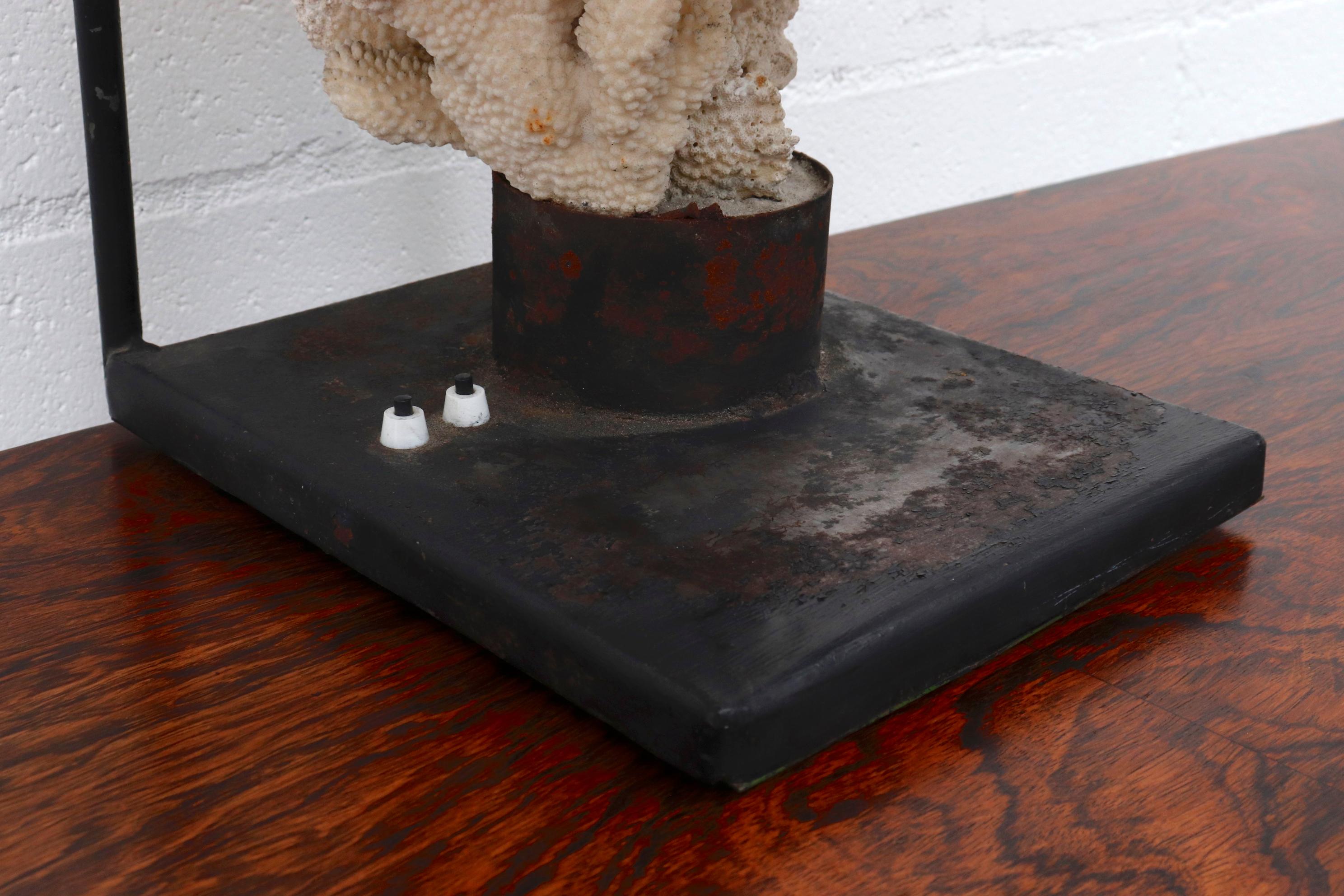 Metal Vintage Industrial Table Lamp with Coral Specimen