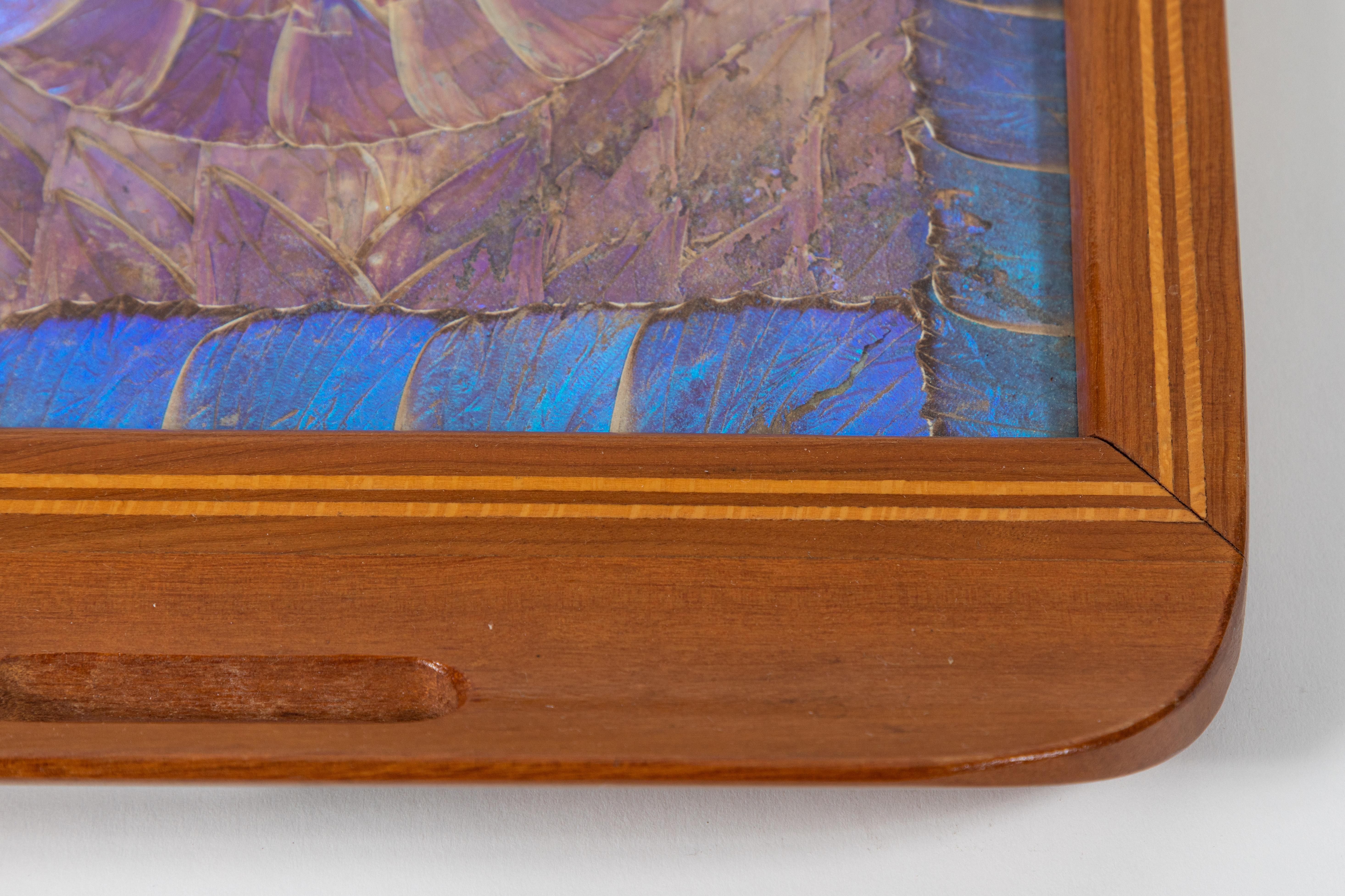 Vintage Inlaid Wood Tray with Morpho Butterfly Wings, circa 1940s In Good Condition In Pasadena, CA