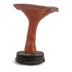 Vintage Instructional Mushroom Model