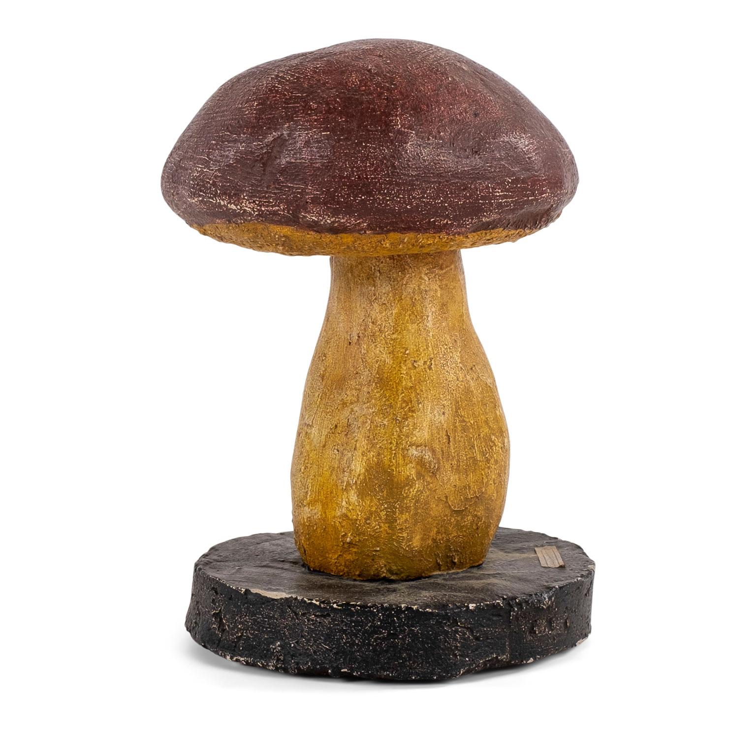 Vintage instructional mushroom model from an art school in France. Entire set pictured together in last three images.