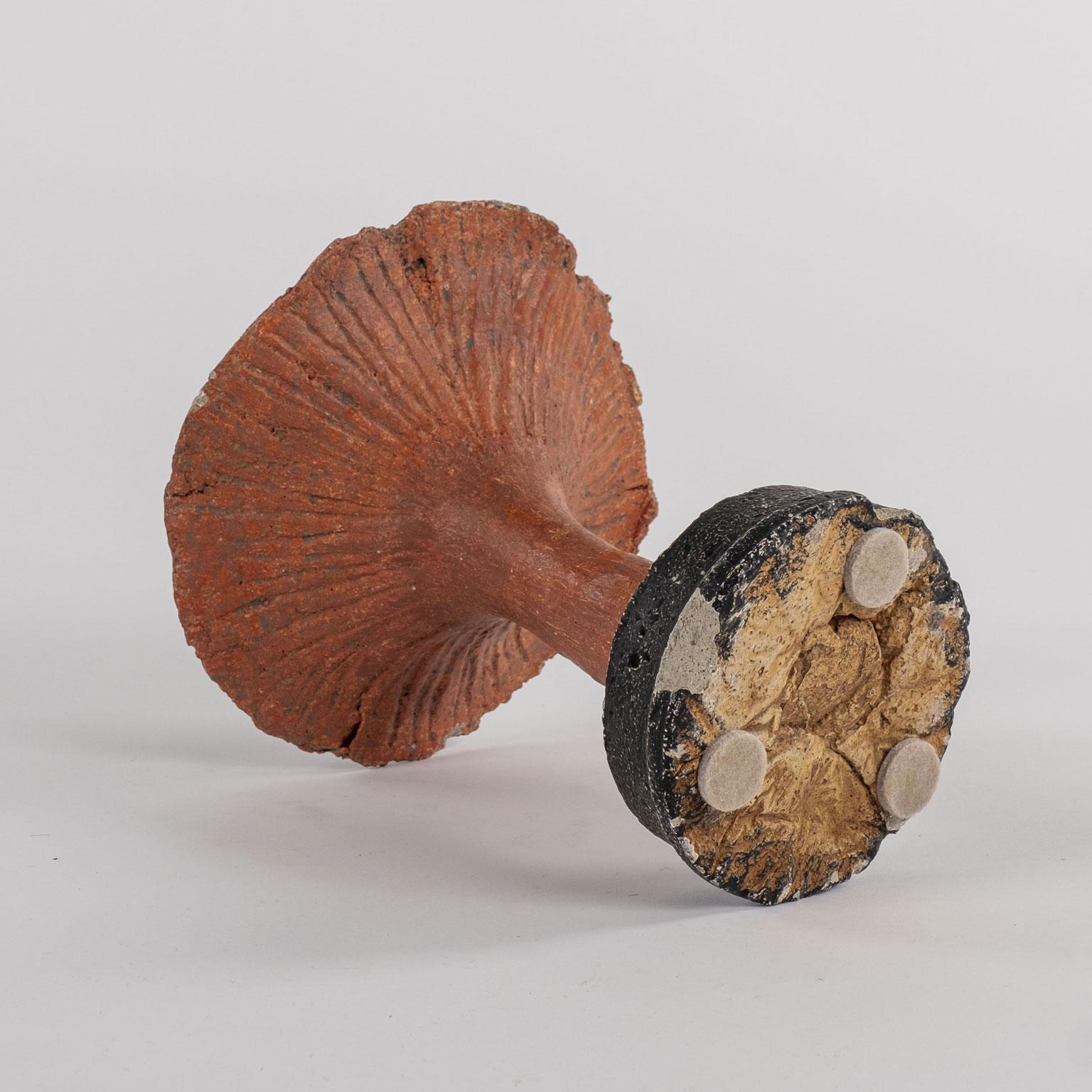 Hand-Crafted Vintage Instructional Mushroom Model