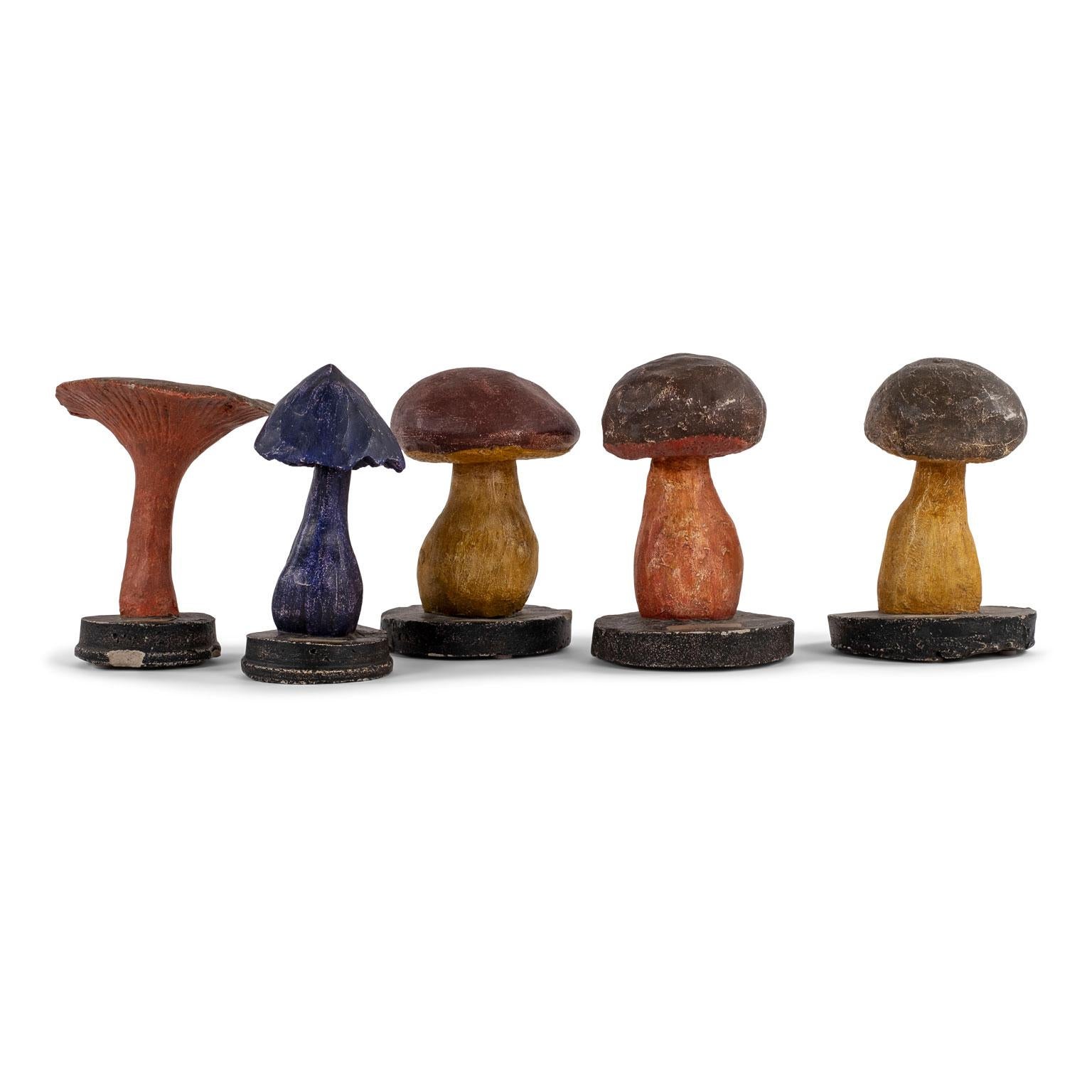 Mid-20th Century Vintage Instructional Mushroom Model
