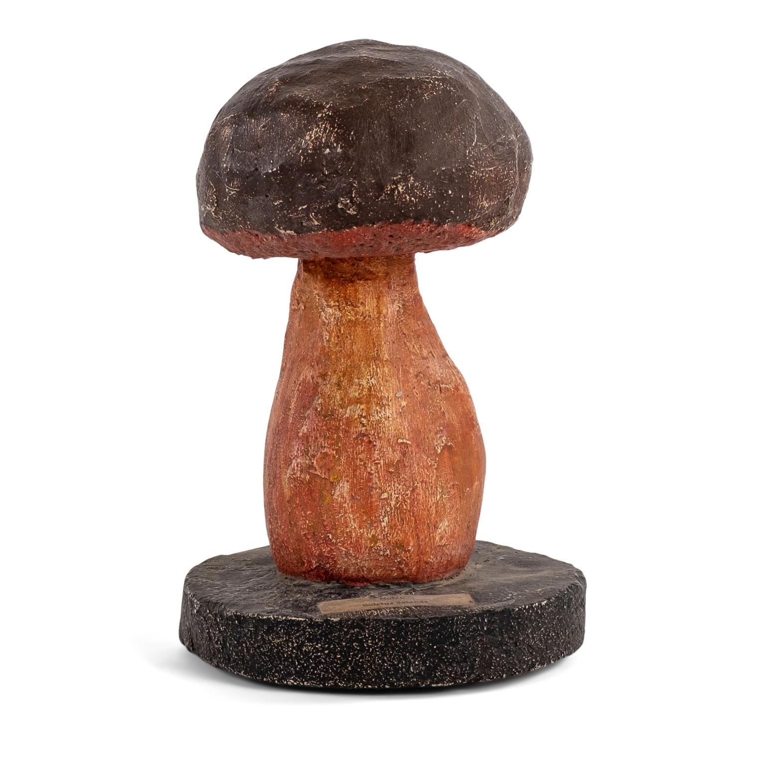 Vintage Instructional Mushroom Model 1