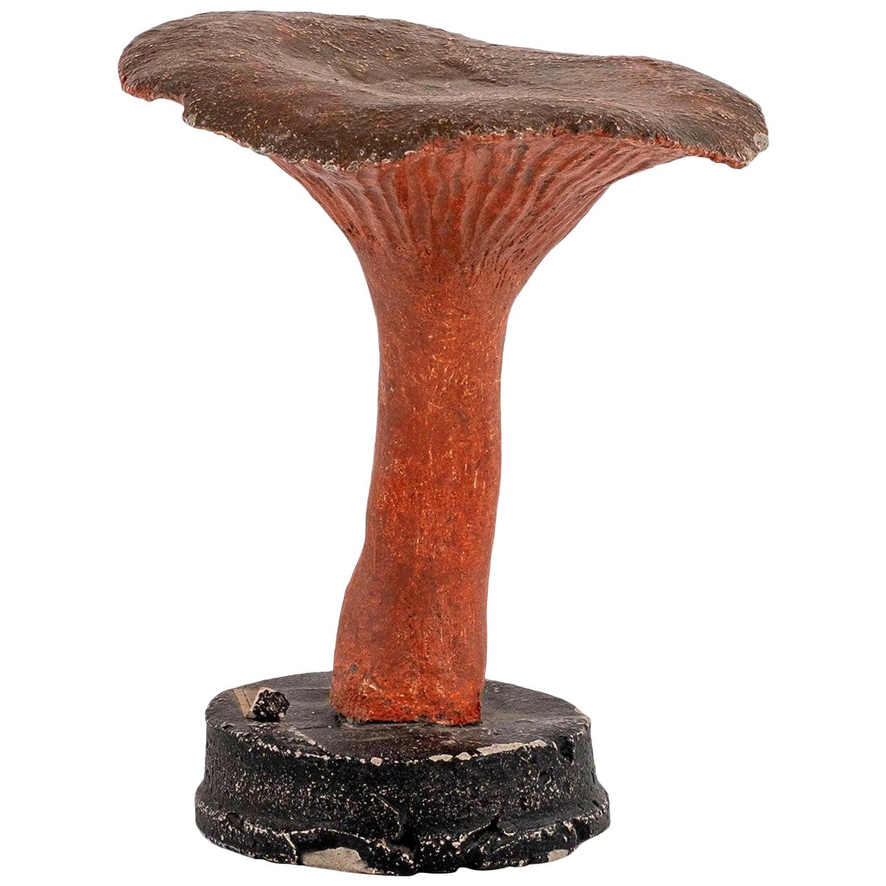 Vintage Instructional Mushroom Model 4