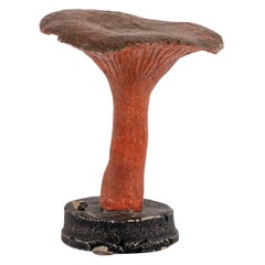 Instructional Pilz Modell, Vintage