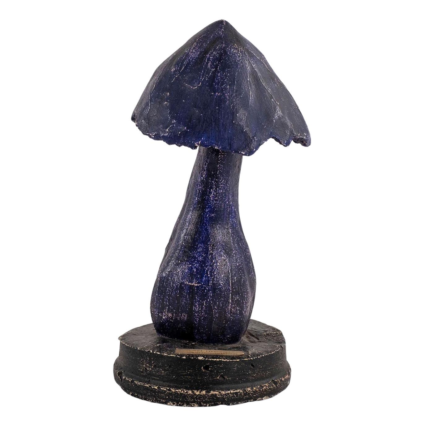 Vintage Instructional Mushroom Model