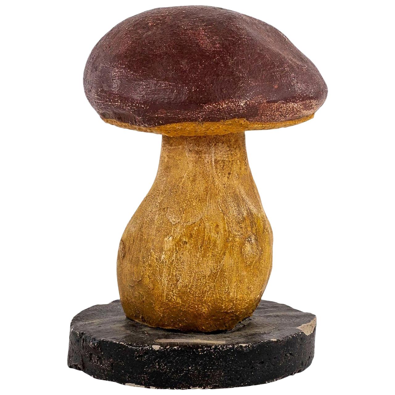 Vintage Instructional Mushroom Model 3