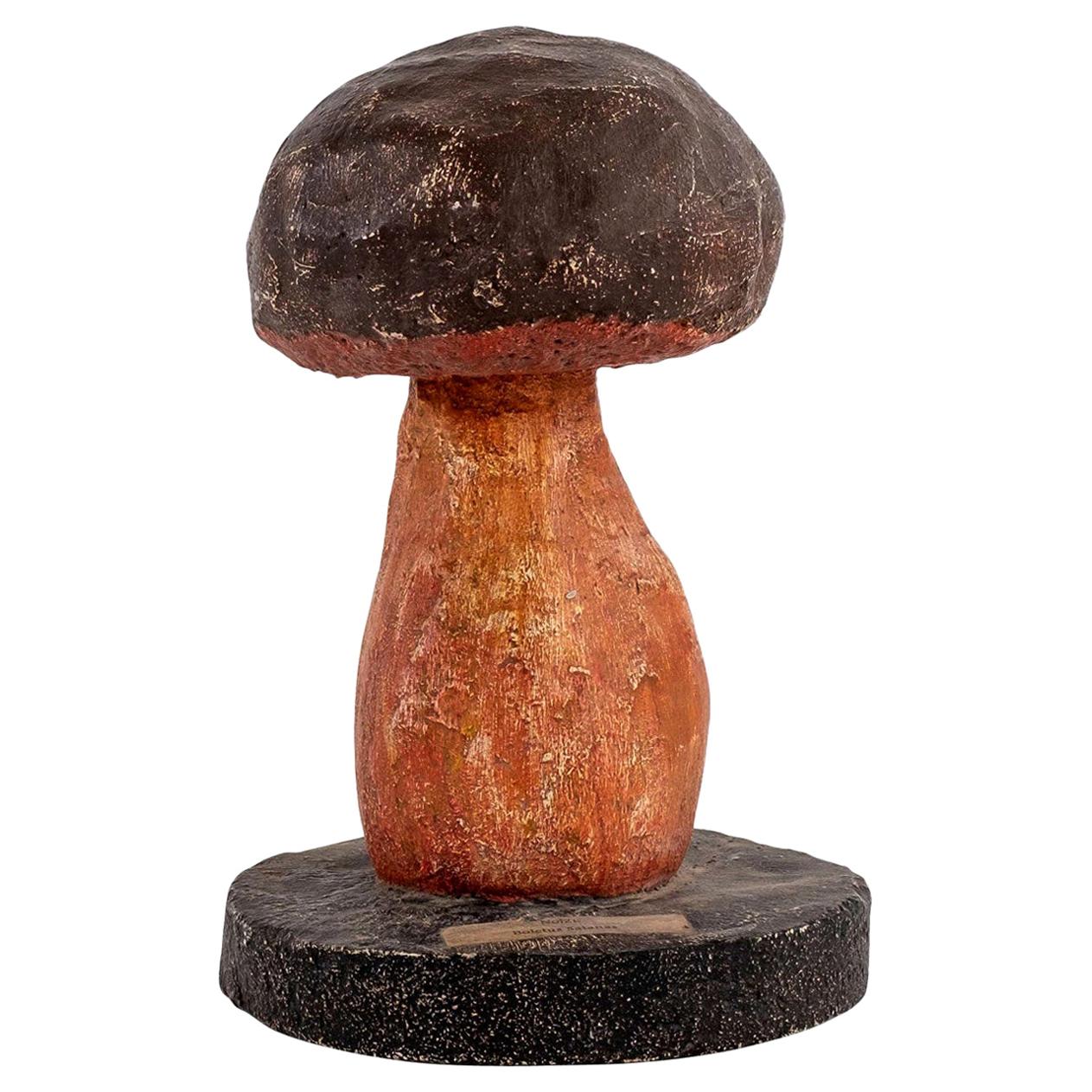 Vintage Instructional Mushroom Model 2