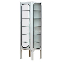 Vintage Iron and Glass Medical Cabinet, 1970s