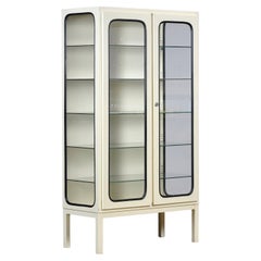 Vintage Iron And Glass Medical Cabinet, 1970s