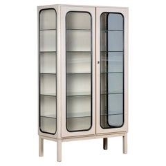 Vintage Iron And Glass Medical Cabinet, 1970s