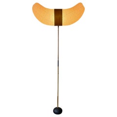 Floor Lamps