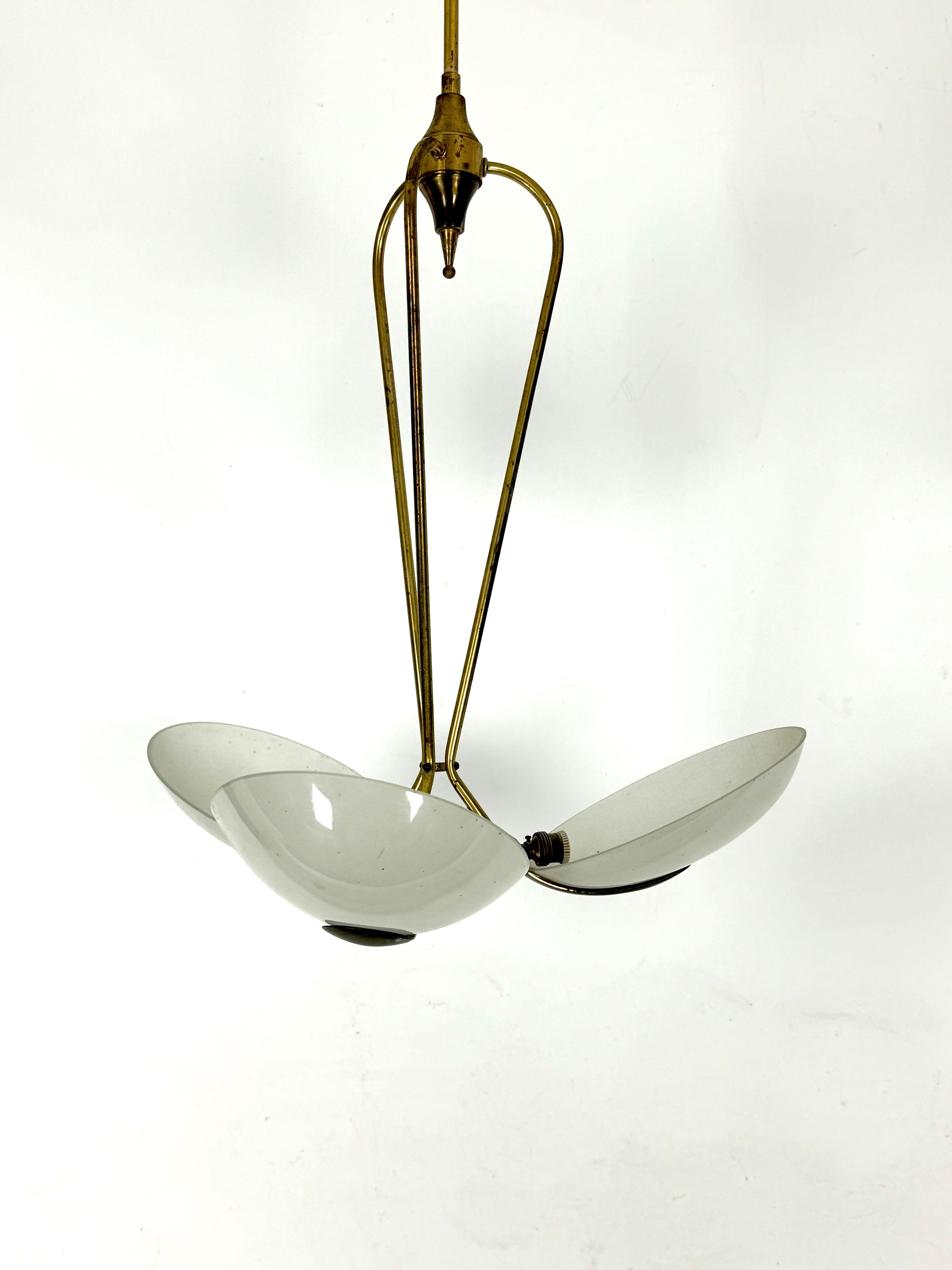 Mid-Century Modern Vintage Italian brass and curved glass chandelier from 1950s For Sale