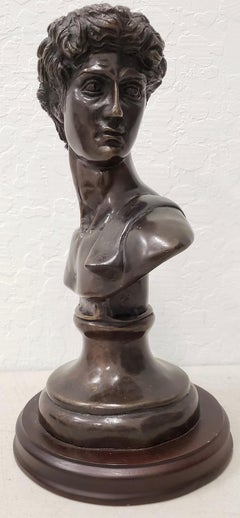 Vintage Italian Bronze Bust of David Mid Century