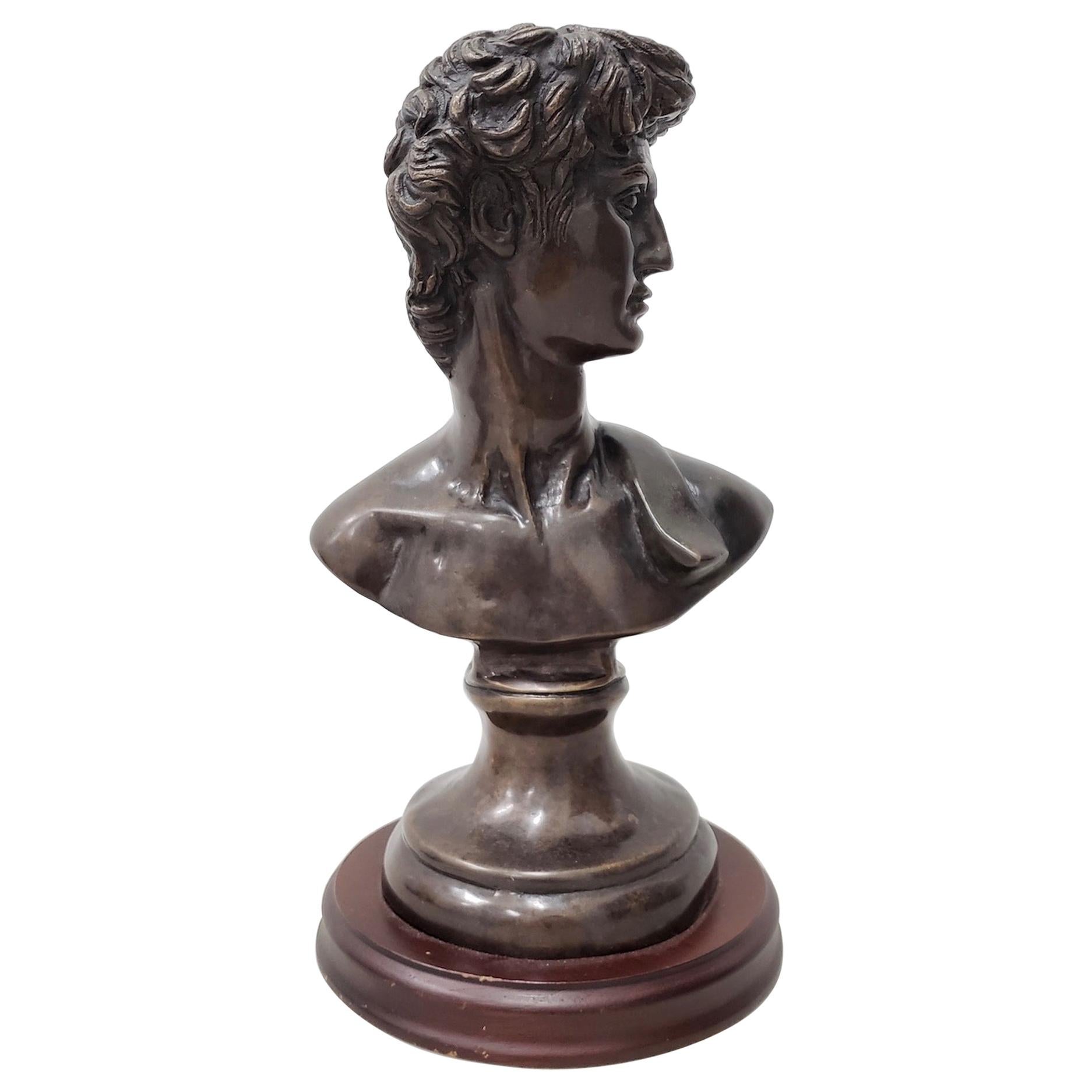 Vintage Italian Bronze Bust of David Mid Century