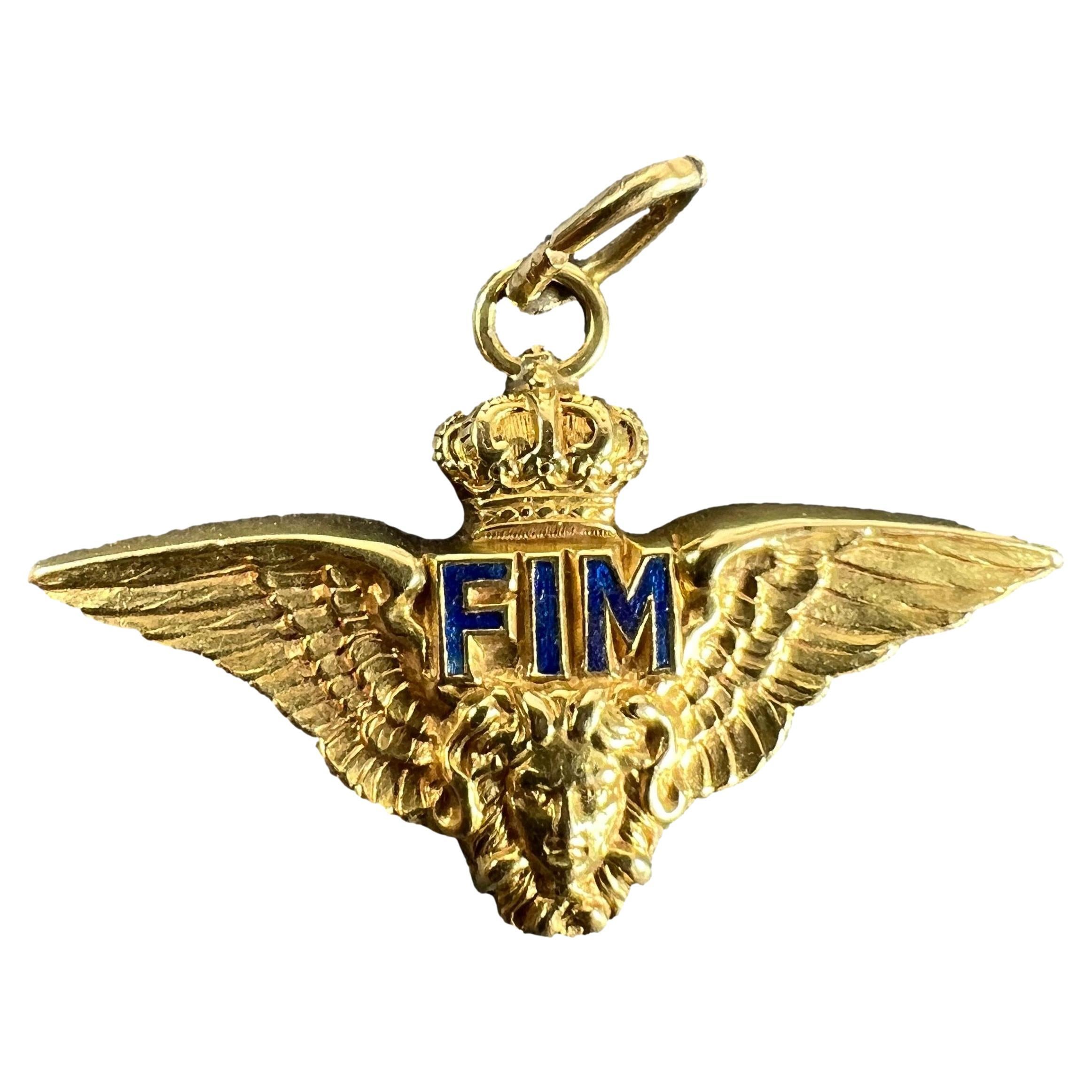 Ciondolo d'epoca in oro giallo 18 carati con smalto Chiappe dell'Aeronautica Militare FIM Corona d'ali in vendita