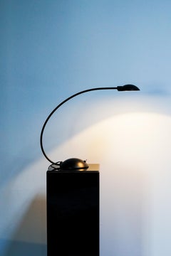 Vintage Italian Desk Lamp de C. Zaffaroni, años 80