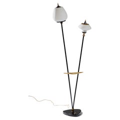 Vintage Italian Floor Lamp in Black Steel, Brass and Opaline Glasses