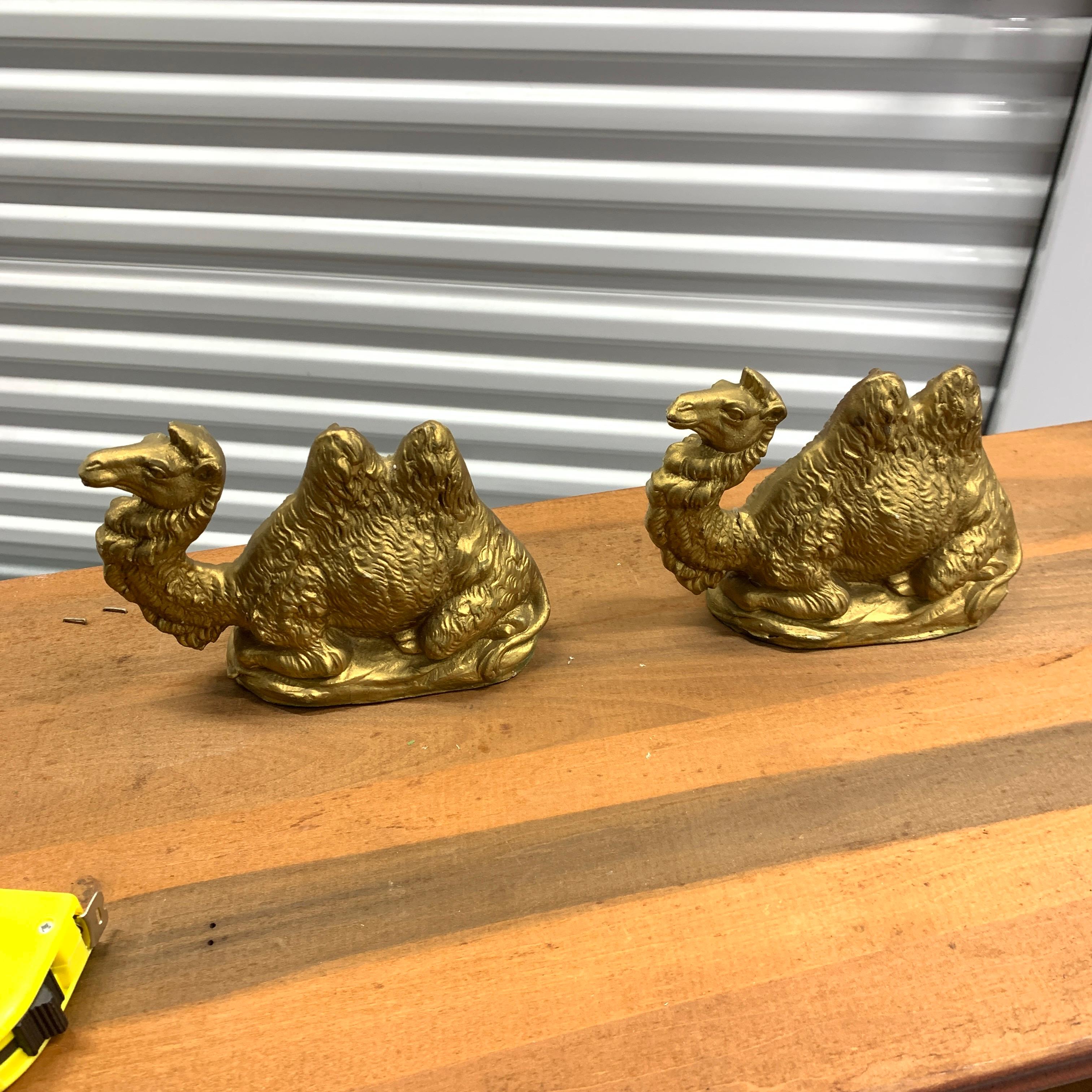 Ein fantastisches Paar italienischer vergoldeter Kamelfiguren. Auf dem gefilzten Sockel ist Italien vermerkt. Eines der Kamele hat einige Schäden am unteren Hals. Dies wird fotografiert. Es wurde wieder aufgeklebt, aber es ist nicht sonderlich