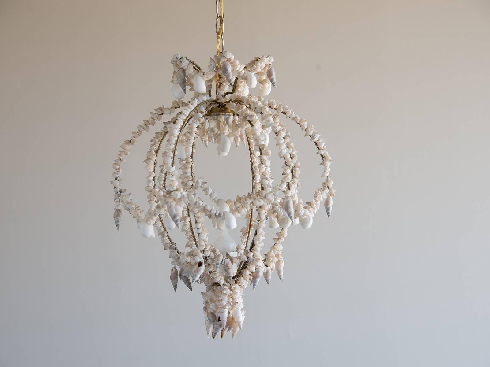 Vintage Italian handmade seashell chandelier, circa 1960. The charming shape of this intimately scaled fixture is highlighted by the variety of shells used to accentuate its profile. The fixture has both an upper and lower socket for a bulb and has