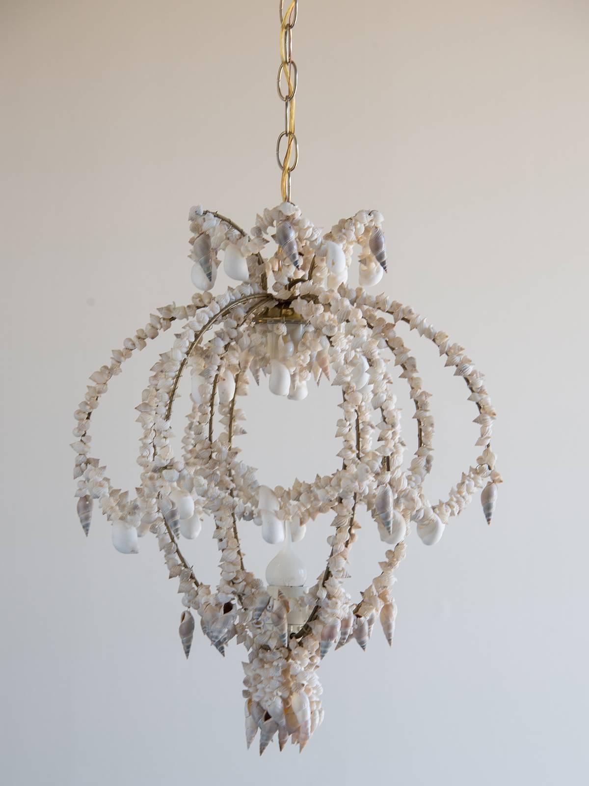 seashell chandeliers