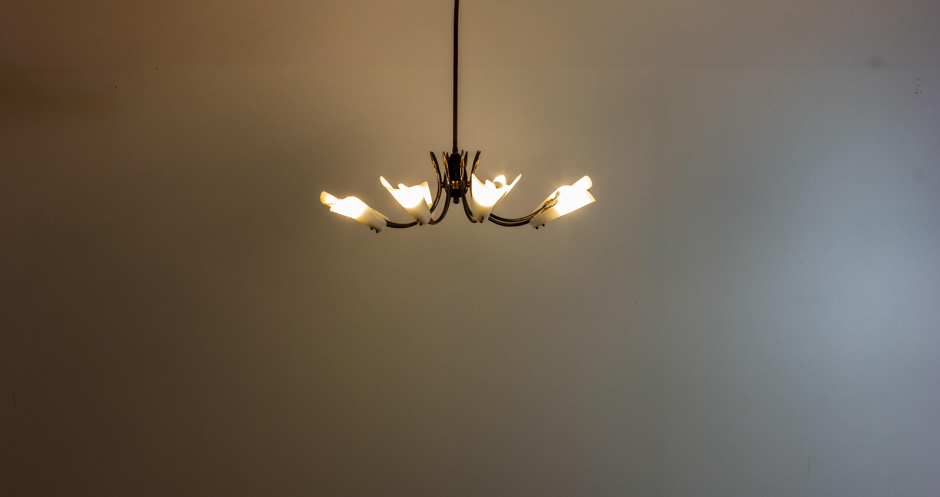 Large Italian spider chandelier from the 1970s. It has eight curved brass arms, each holding a white plexiglass shade. The arms spread out evenly from the center, giving the lamp its spider-like look. The brass has a warm patina, and the white plexi