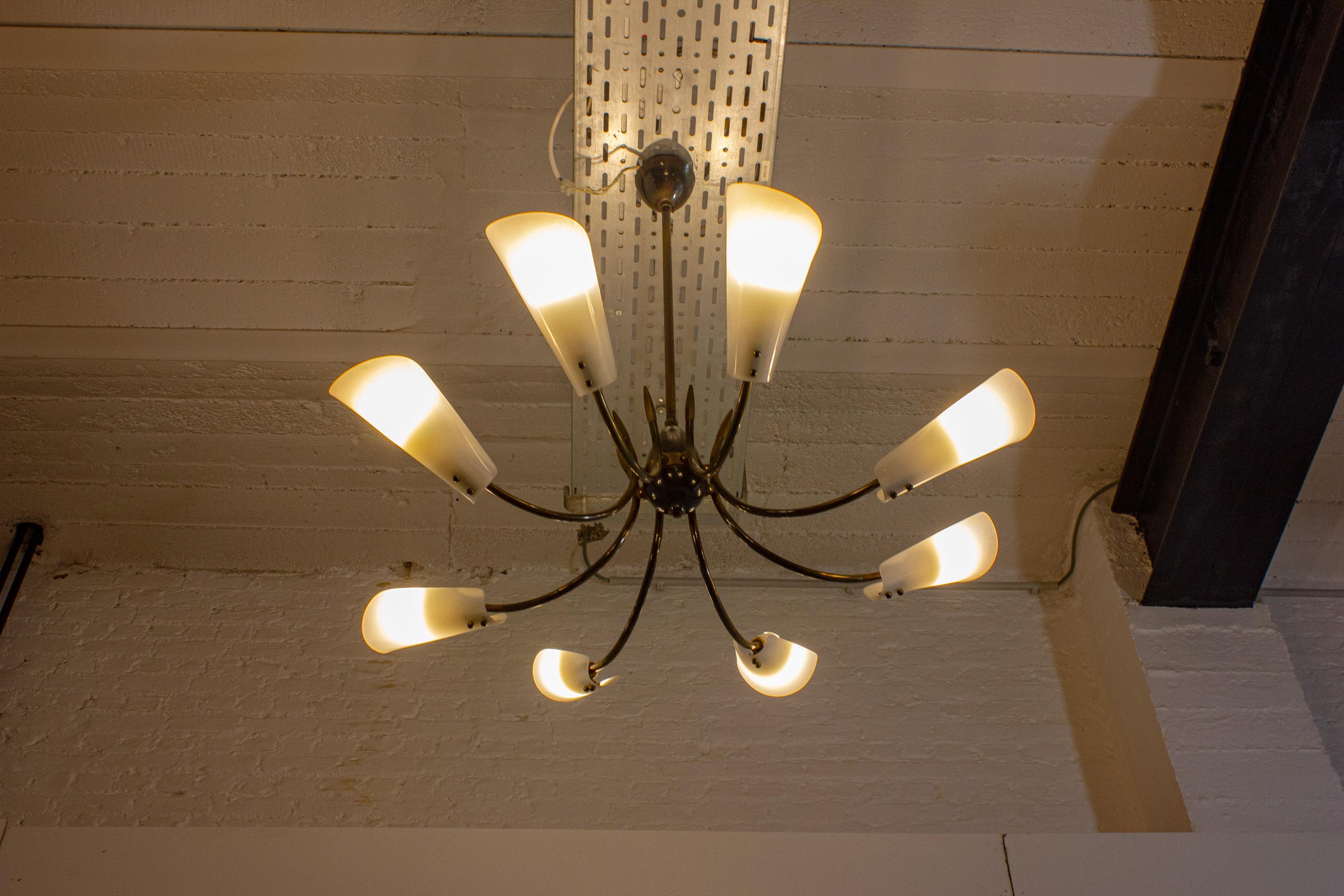Vintage Italian radial spider chandelier with frosted shades, 1970s en Bueno estado para la venta en Antwerpen, VAN