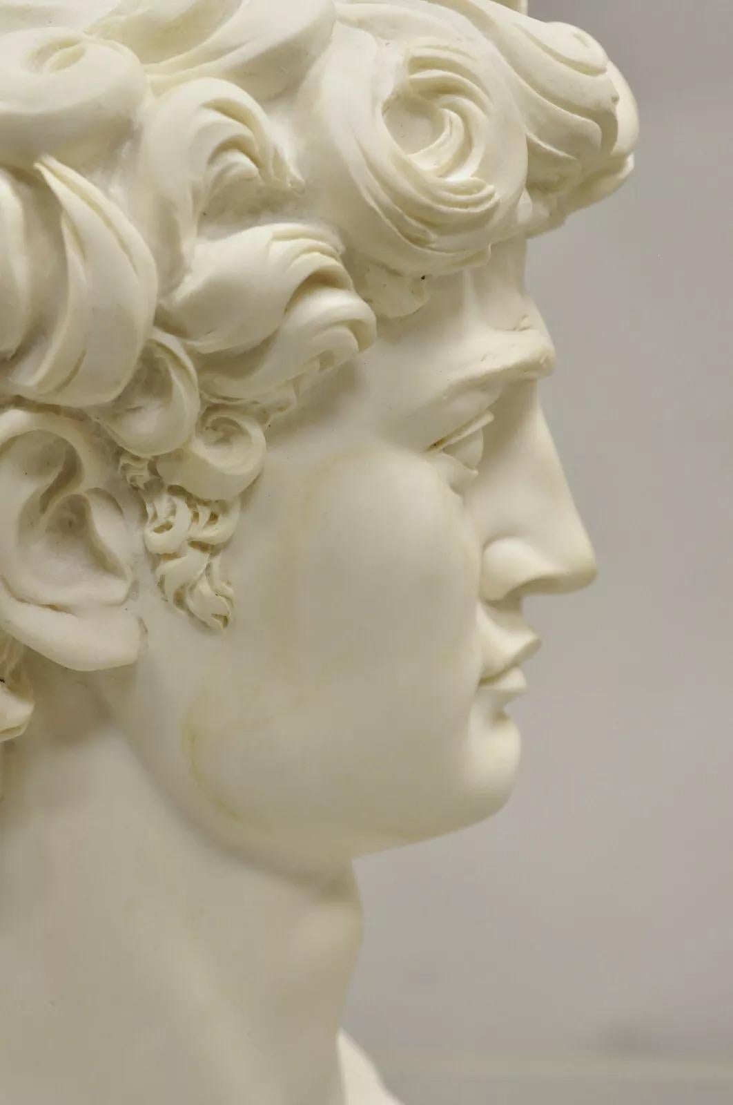 20th Century Vintage Italian Resin Michaelangelo Bust of David Sculpture after A. Giannelli