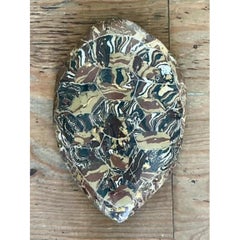 Vintage Italian Scagliola Artisan Made Pigmented Plaster Turtle Shell