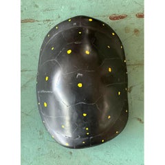 Caparazón de tortuga de escayola pigmentada italiana vintage Scagliola