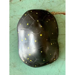 Caparazón de tortuga de escayola pigmentada italiana vintage Scagliola