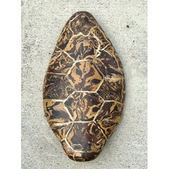 Écaille de tortue vintage en plâtre pigmenté de Scagliola (Italie)