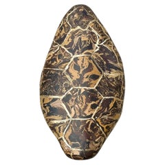 Écaille de tortue vintage en plâtre pigmenté de Scagliola (Italie)