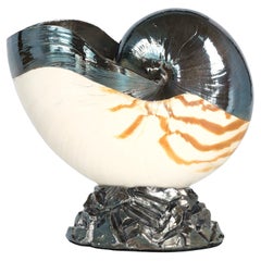 Concha de nautilus plateada italiana vintage de Ruzzetti & Gow