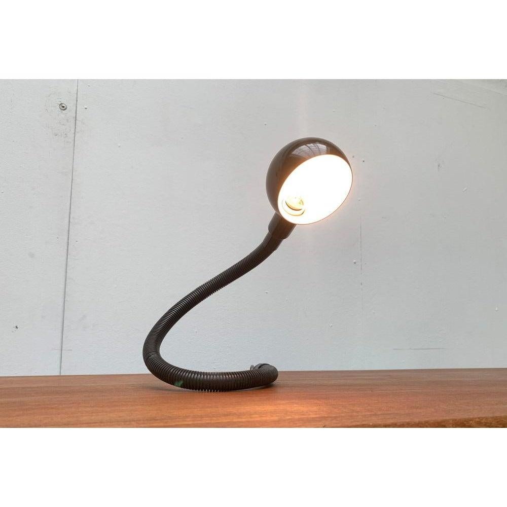 Lampe Hebi du fabricant italien Valenti d'après un design du designer japonais Isao Hosoe datant des années 70.

Un classique du design des années 70. L'Hebi est réglable dans presque toutes les positions grâce au bras caractéristique du tuyau.