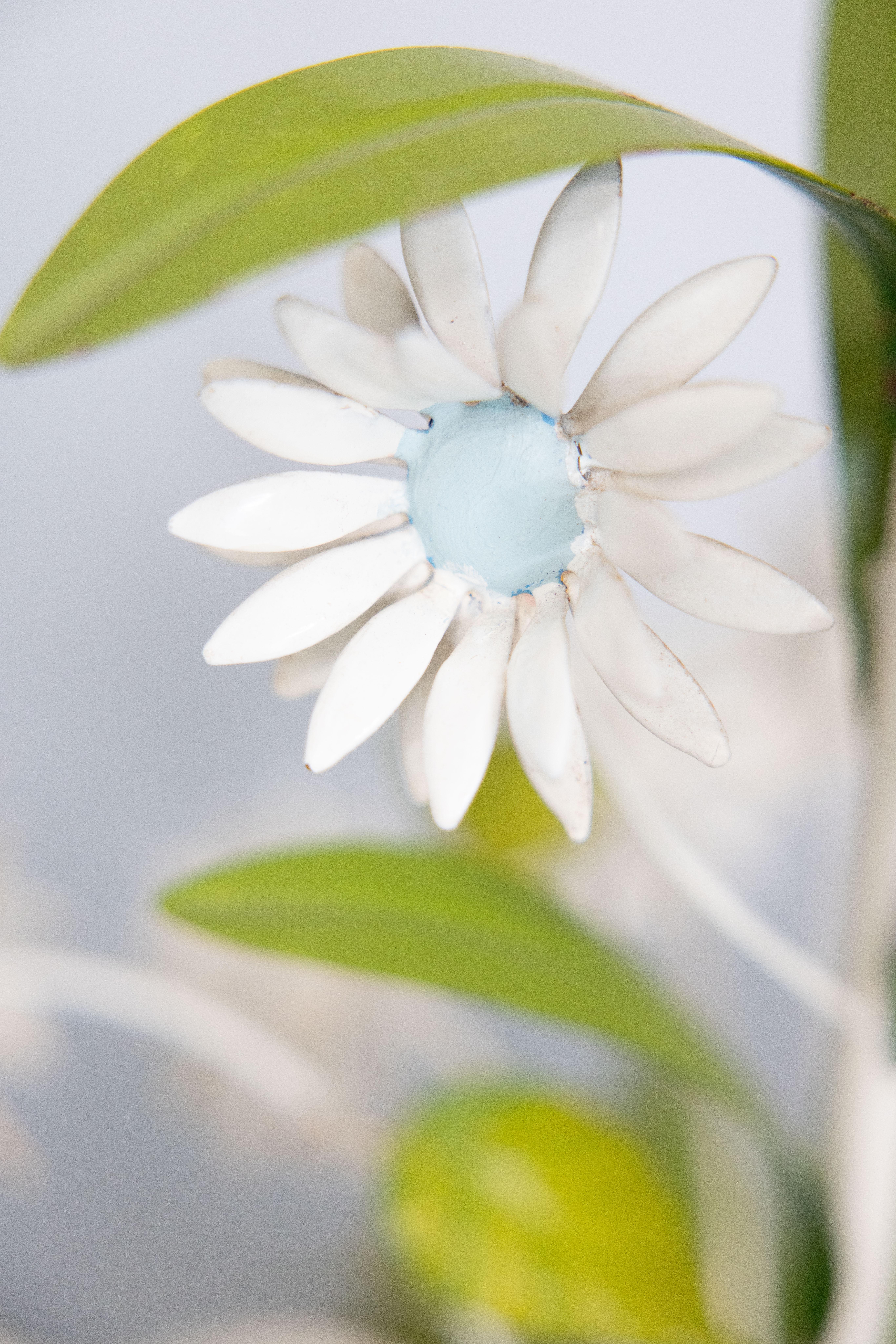 Tôle Vintage Italian Tole Daisy Floral Chandelier, circa 1950