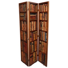Vintage italiano L'Oeil in pelle libreria paravento Foldes by Sarreid