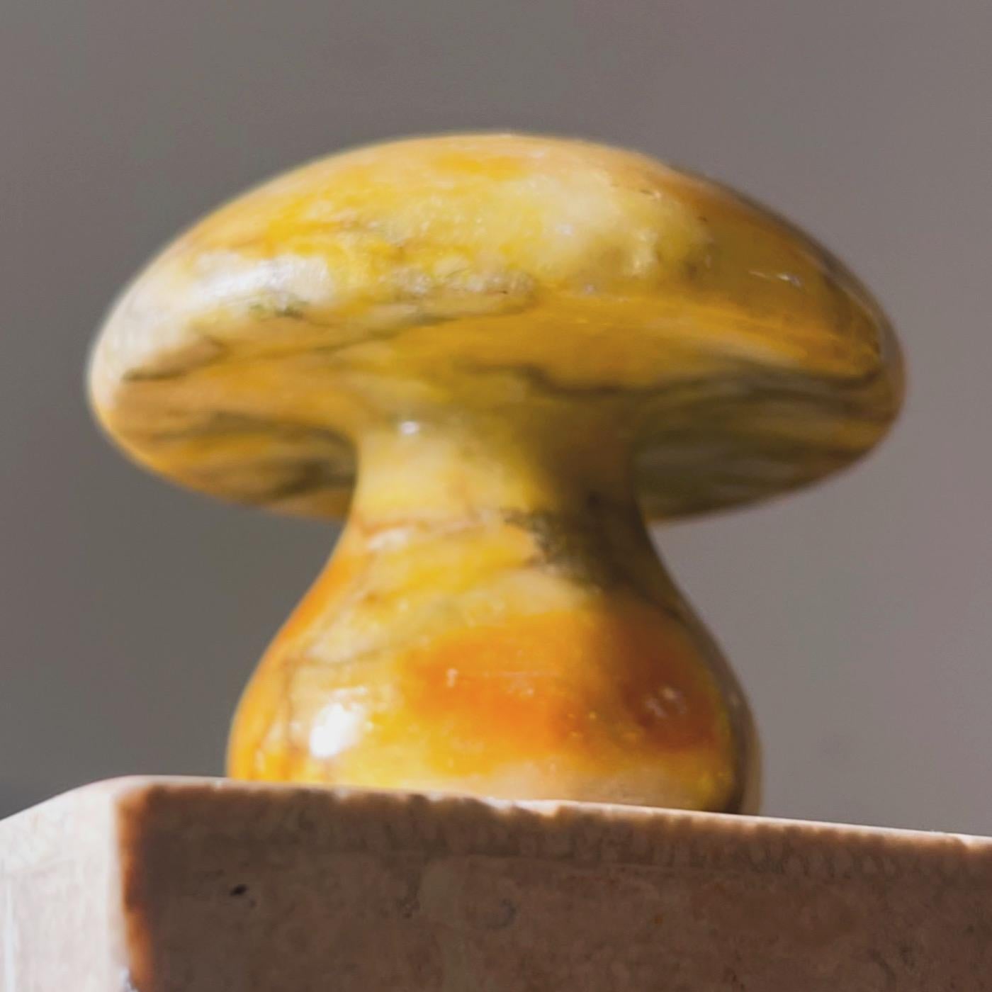 Champignon en marbre italien vintage, jaune bouton d'or avec des veines de charbon de bois, années 1960. Fab comme presse-papier ou objet d'art. Enlèvement dans le centre ouest de Los Angeles ou expédition dans le monde entier.
3,25