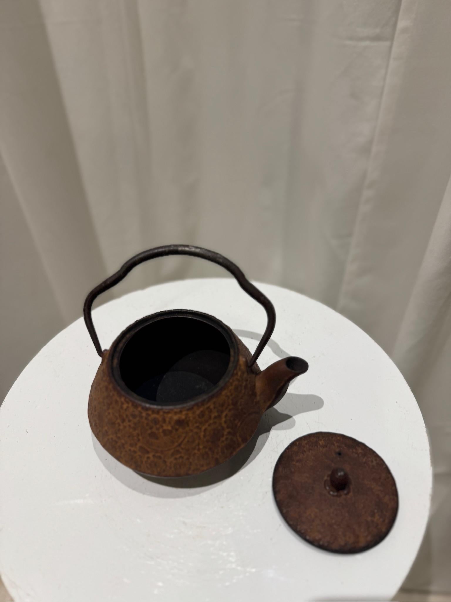 Vintage Japanese Cast Iron Tetsubin Teapot with Floral Relief Pattern 2