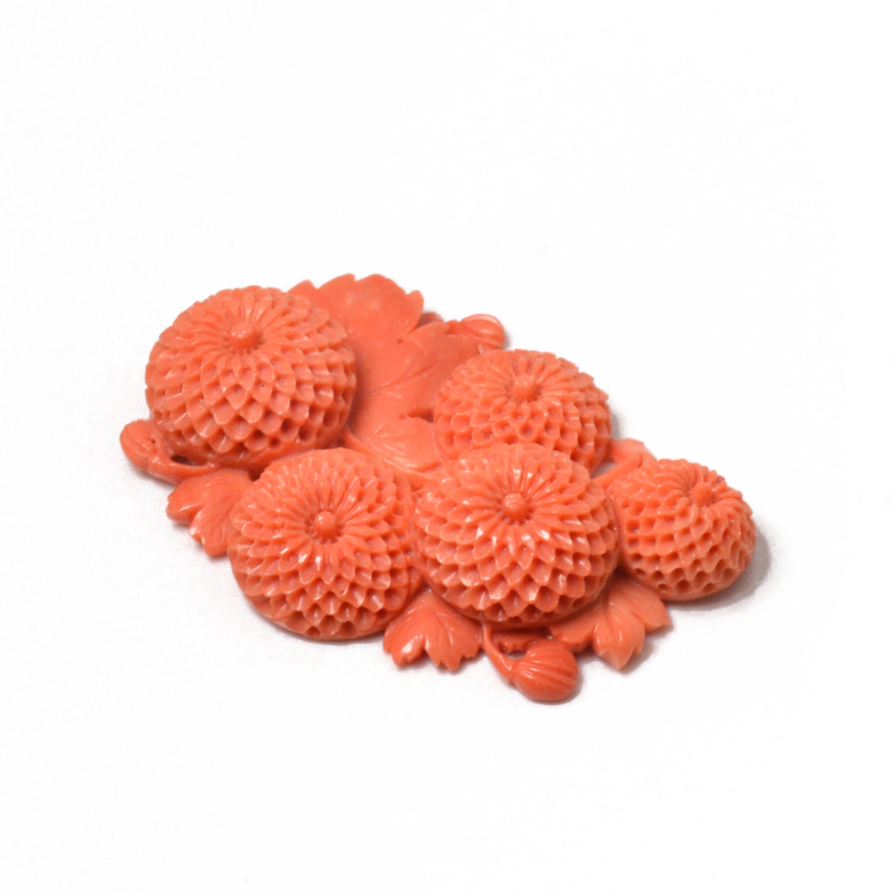 coral chrysanthemum