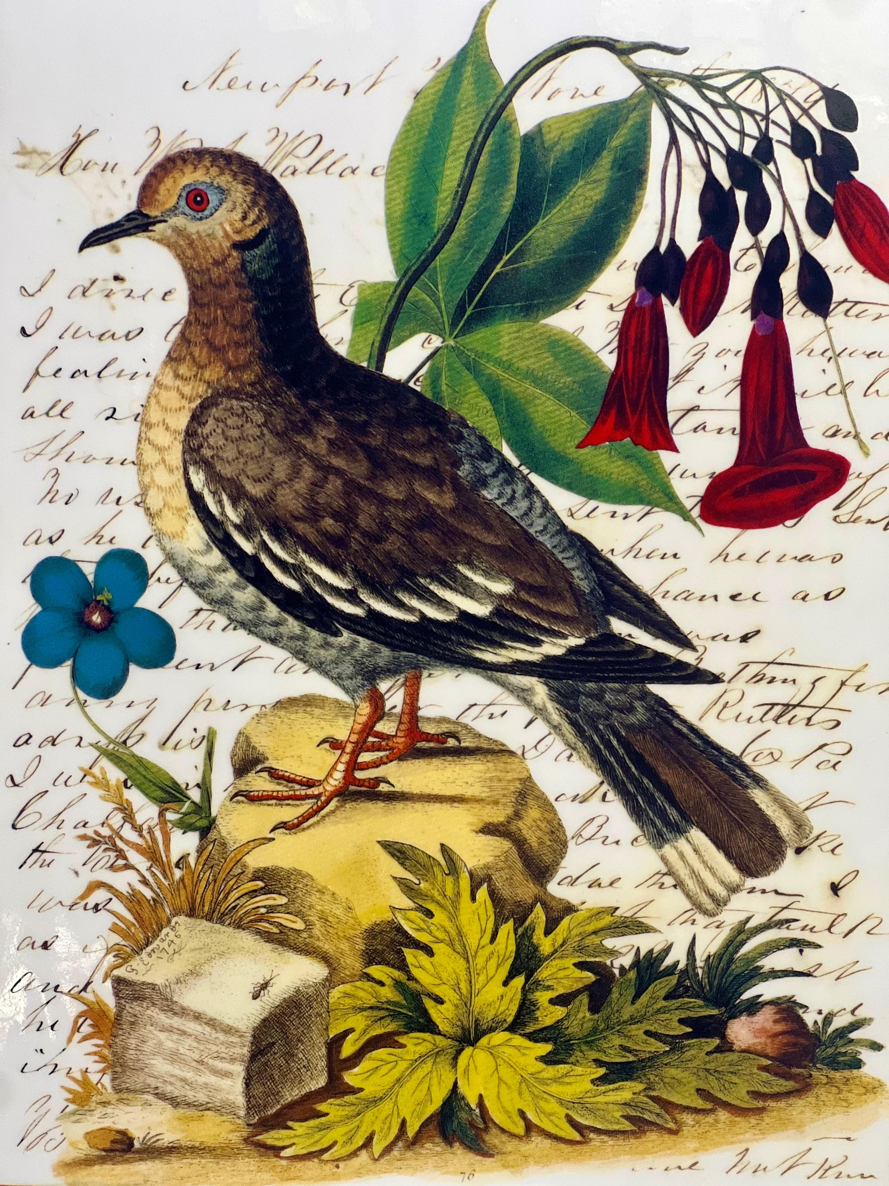 John Derian grand pot carré à couvercle en porcelaine avec oiseaux et feuillage en vente 4