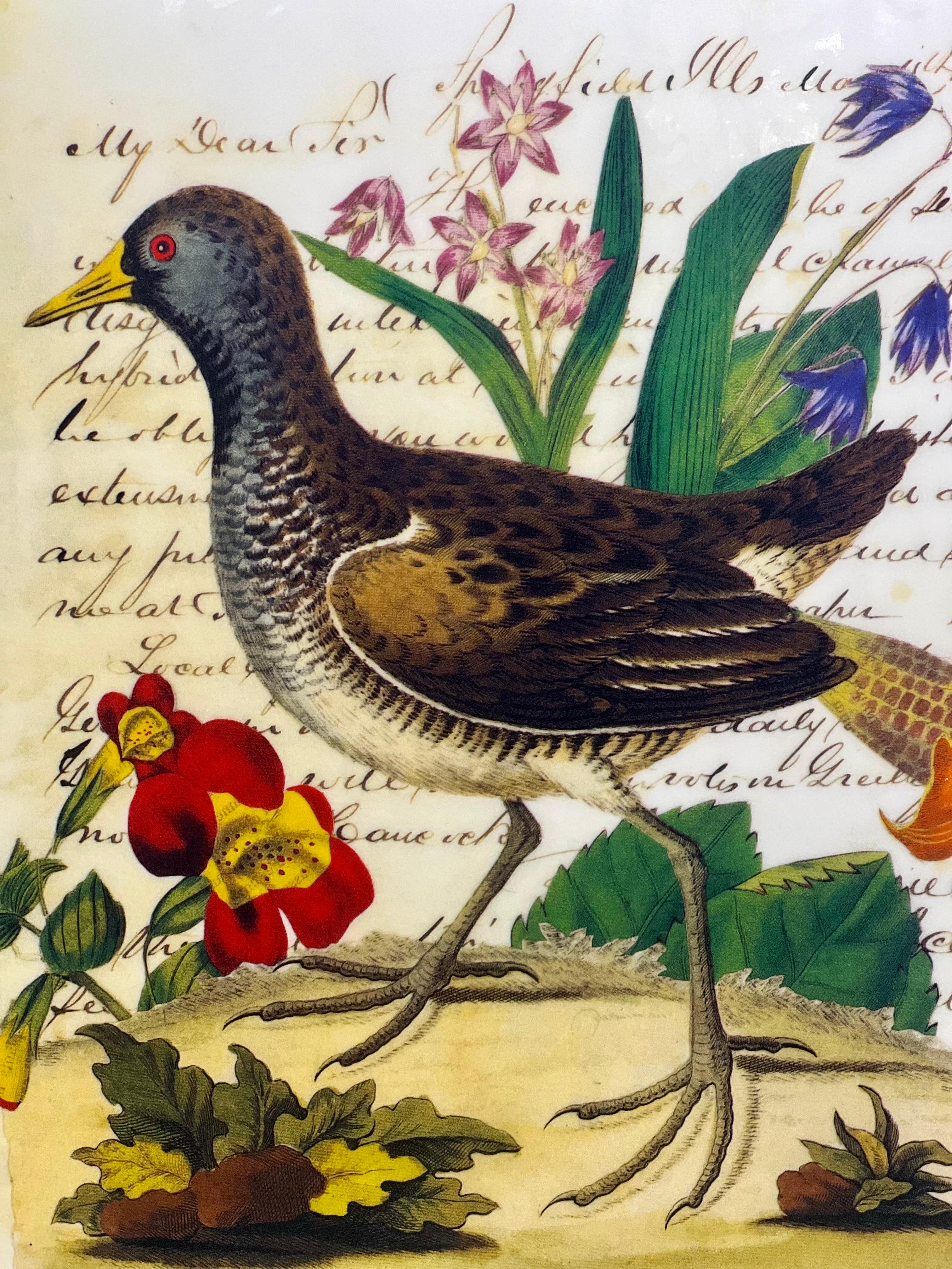 John Derian grand pot carré à couvercle en porcelaine avec oiseaux et feuillage en vente 6