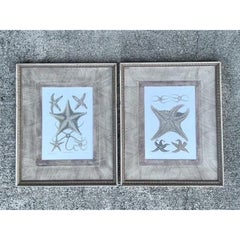 Vintage John Richard Starfish Prints - Set of 2