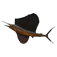 Antique John S Taylor Sailfish Replica Wall Mount Taxidermy Fishing Wall Decor