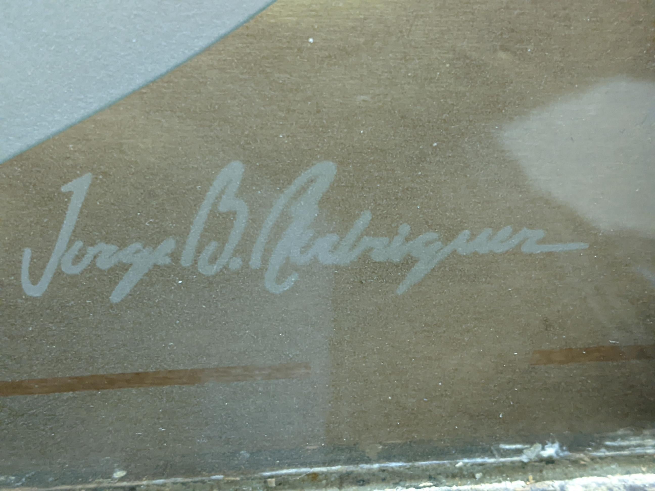 Jorge Rodriguez, geätzter Flamingo-Kunstglas-Schrank/Türfensterpaneel, Vintage im Angebot 6