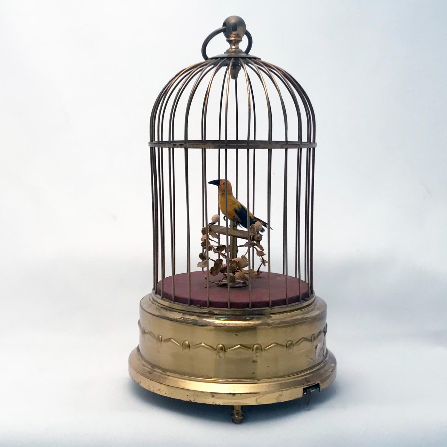 vintage singing bird in cage